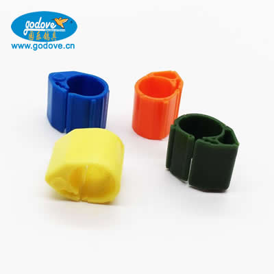Plastic open pigeon rings can insert chips 