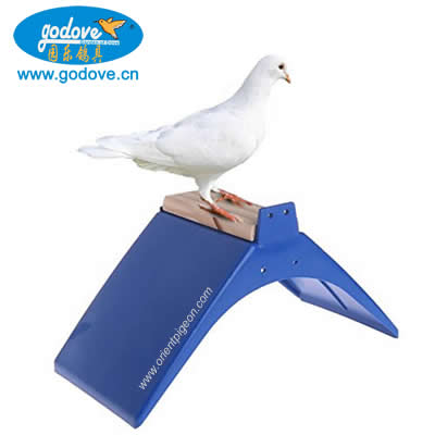 Plastic Wooden Rest Stand for Pigeon