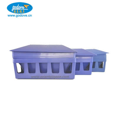 Pigeon Automatic  Feeder
